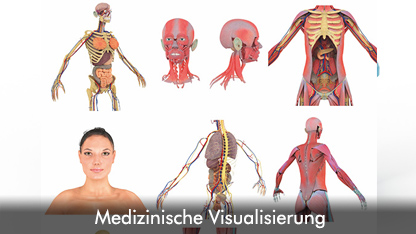 Visualisierung in der Medizin