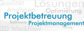 Projektbetreuung