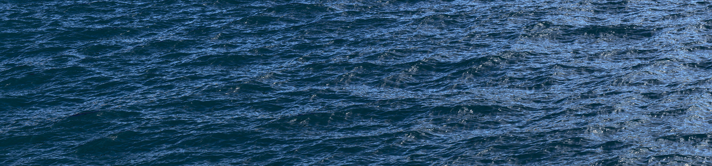 DOSCH 3D 3D Ocean Surfaces