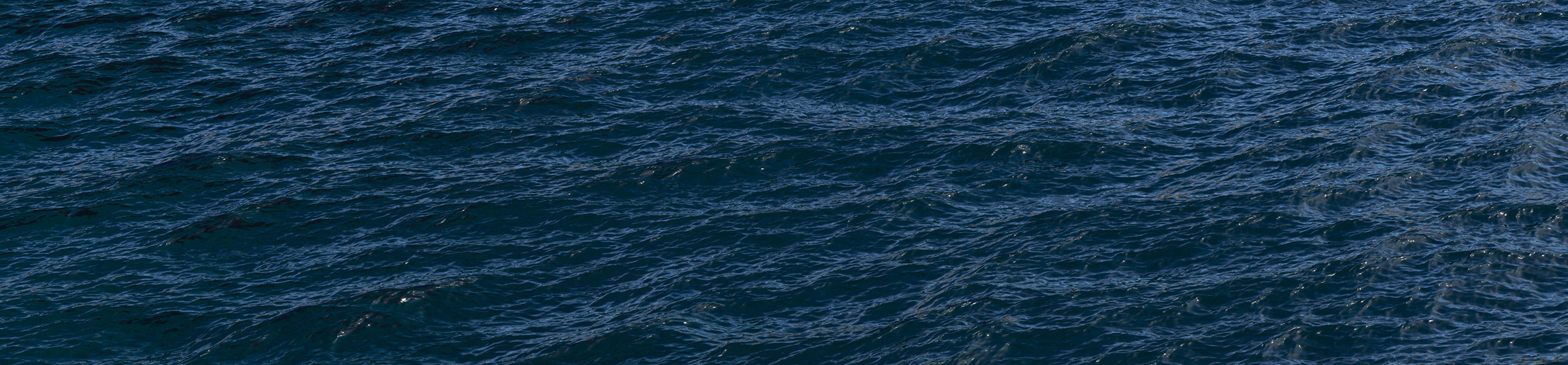 DOSCH 3D 3D Ocean Surfaces