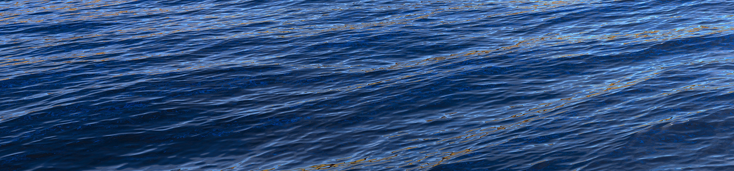 DOSCH 3D 3D Ocean Surfaces