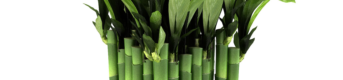 DOSCH 3D Bamboo Plants