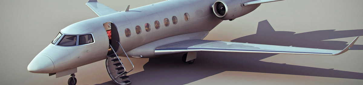 DOSCH 3D Business Jet Details