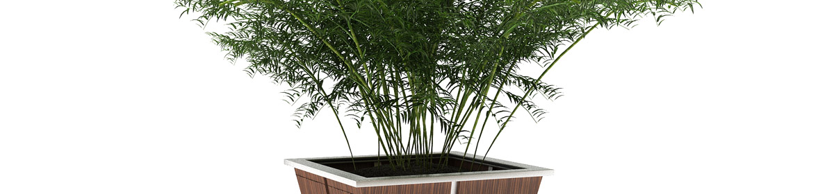 DOSCH 3D Garden Designer V3