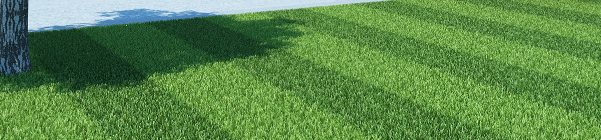 DOSCH 3D Grass