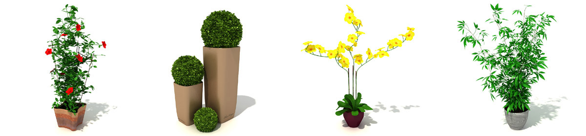 DOSCH 3D Indoor Plants
