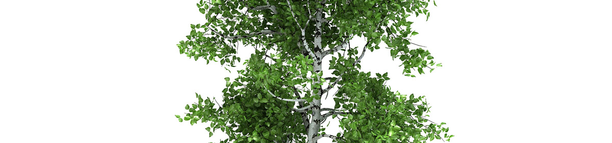 DOSCH 3D Tree Library for Cinema 4D
