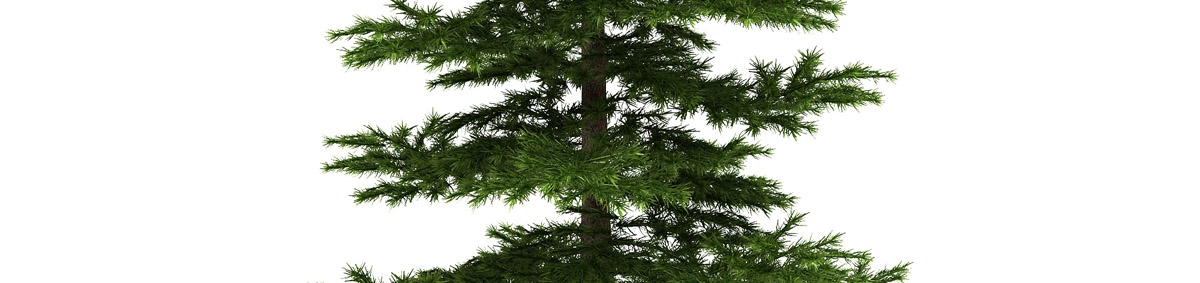 DOSCH 3D Tree Library for Lightwave & Modo