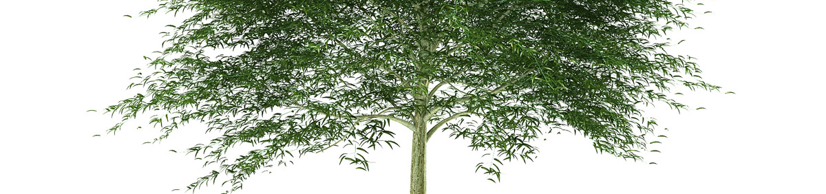 DOSCH 3D Tree Library for Maya & Softimage