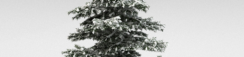 DOSCH 3D Winter Trees