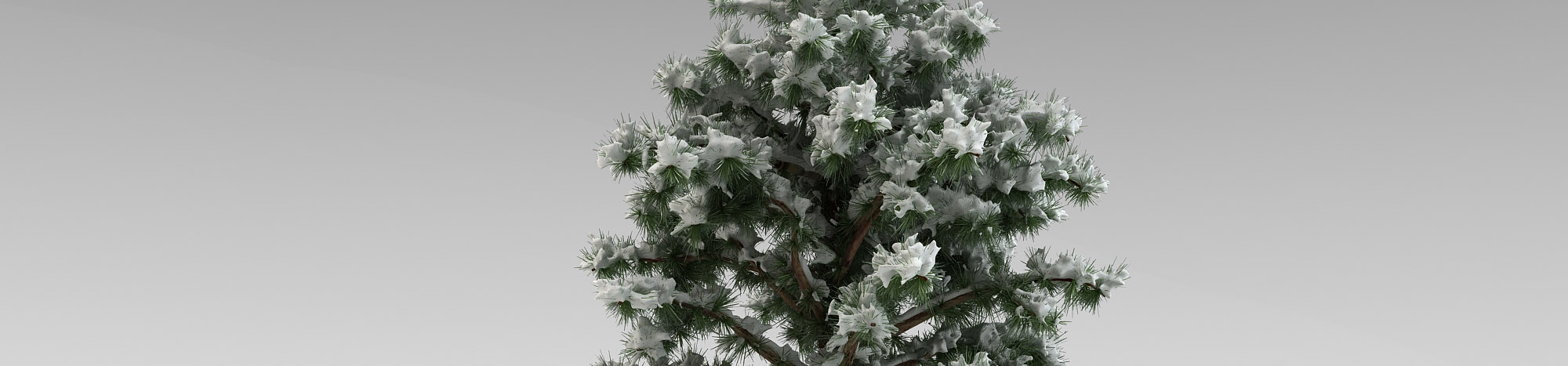 DOSCH DESIGN DOSCH 3D: Winter Trees