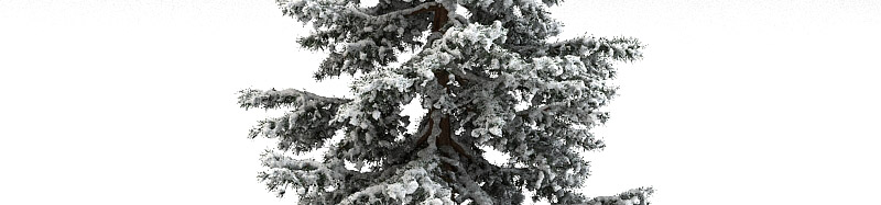 DOSCH 3D Winter Trees