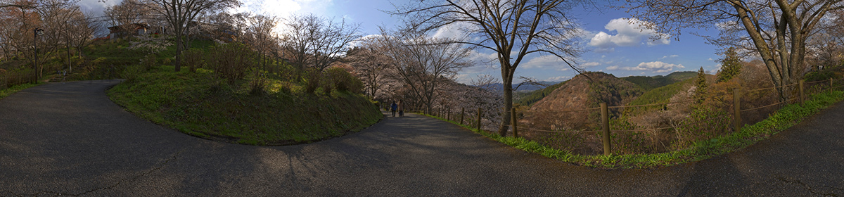 DOSCH HDRI Japan - Cherry Blossom