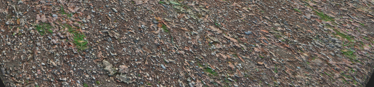DOSCH Textures: Road Surfaces V2 - PBR