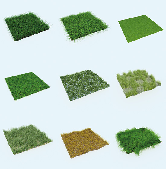 Dosch Design Dosch 3d Grass - free 3d max models textura