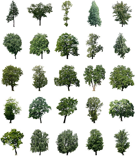 DOSCH DESIGN - DOSCH 2D Viz-Images: Artlantis Billboards - Forest Trees