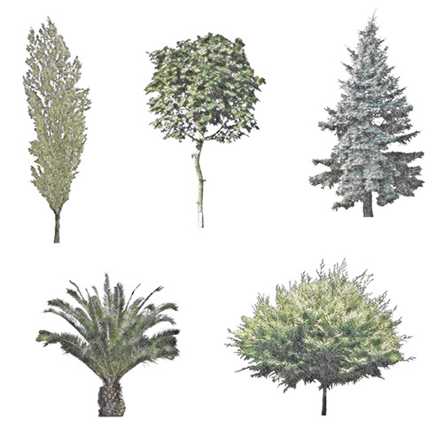 Dosch 3d plants & trees