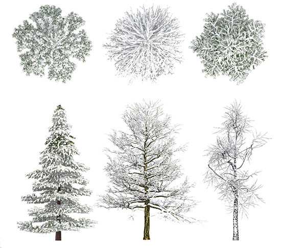 Dosch Design Dosch 2d Viz Images Winter Trees