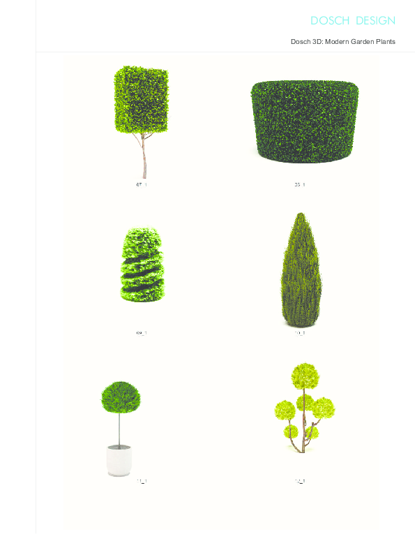 DOSCH DESIGN DOSCH 3D: Modern Garden Plants