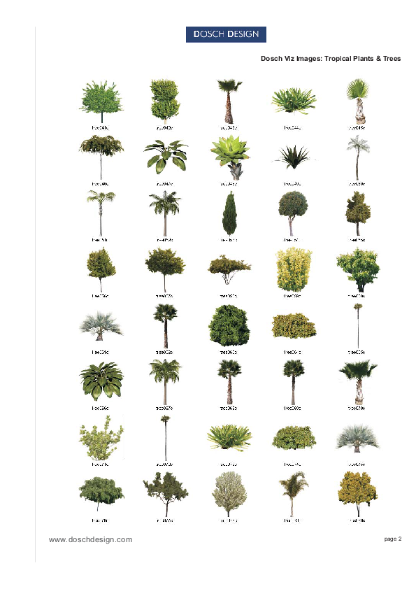 DOSCH DESIGN - DOSCH 2D Viz-Images: Tropical Plants & Trees